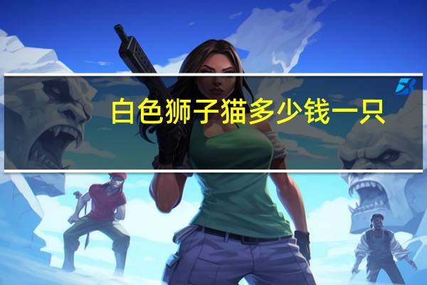白色狮子猫多少钱一只（狮子猫多少钱一只）