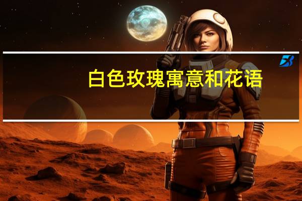 白色玫瑰寓意和花语