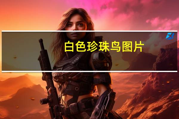 白色珍珠鸟图片（珍珠鸟图片）