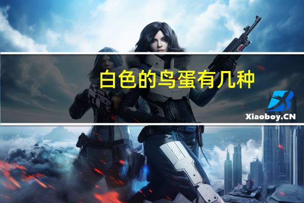 白色的鸟蛋有几种