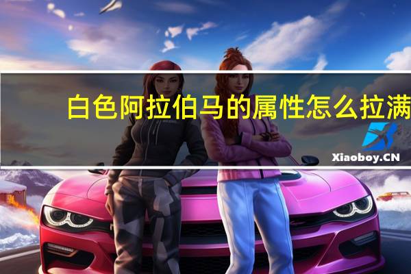 白色阿拉伯马的属性怎么拉满