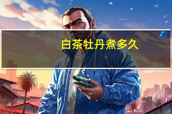 白茶牡丹煮多久
