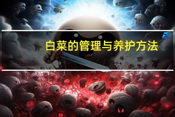 白菜的管理与养护方法