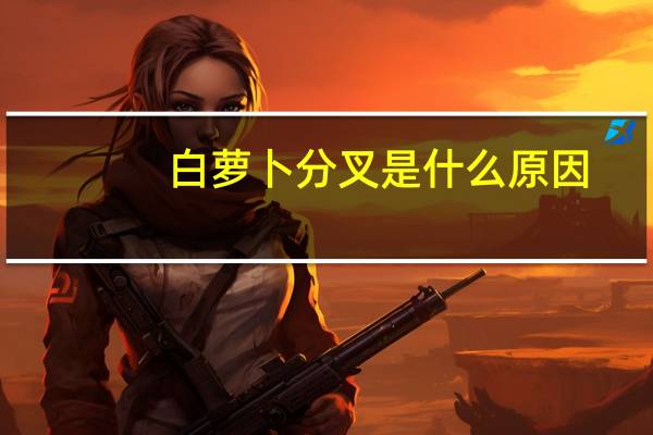 白萝卜分叉是什么原因