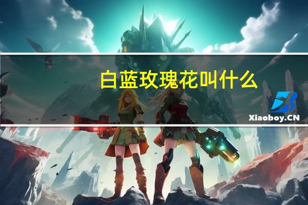 白蓝玫瑰花叫什么