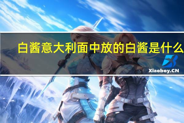 白酱意大利面中放的白酱是什么啊