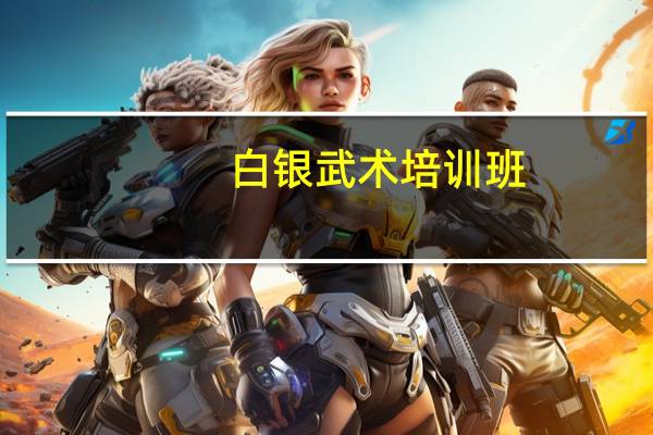 白银武术培训班（白银武）