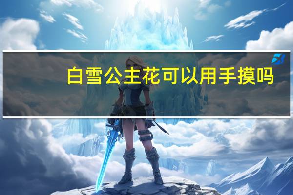 白雪公主花可以用手摸吗