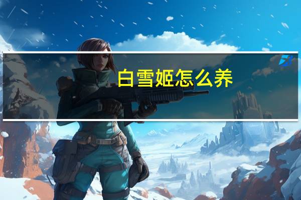 白雪姬怎么养