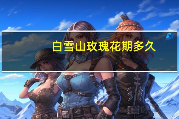 白雪山玫瑰花期多久