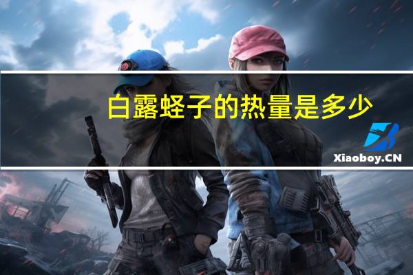 白露蛏子的热量是多少？