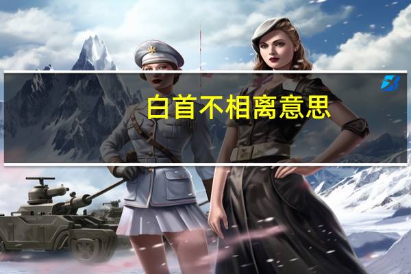 白首不相离意思