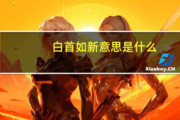 白首如新意思是什么