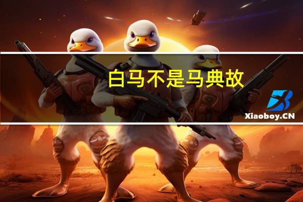 白马不是马典故
