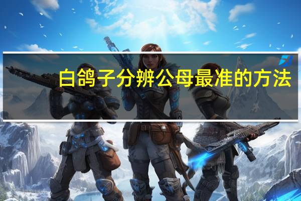 白鸽子分辨公母最准的方法