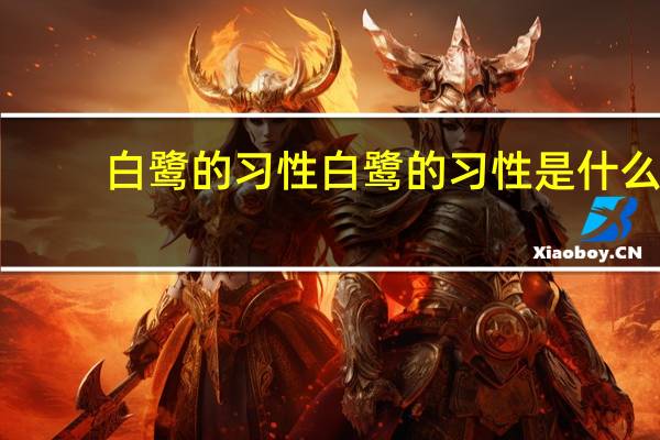 白鹭的习性 白鹭的习性是什么