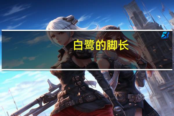 白鹭的脚长
