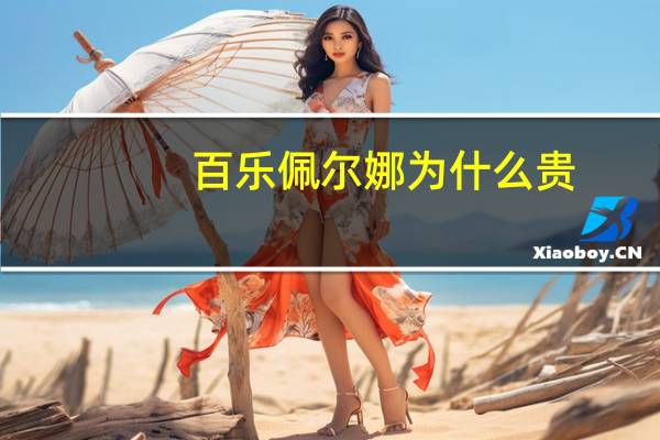 百乐佩尔娜为什么贵