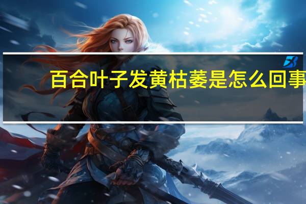 百合叶子发黄枯萎是怎么回事
