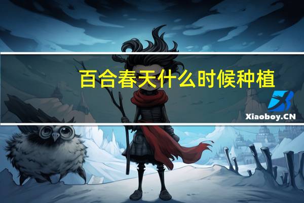 百合春天什么时候种植