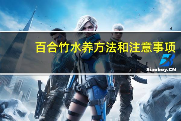 百合竹水养方法和注意事项