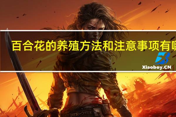 百合花的养殖方法和注意事项有哪些