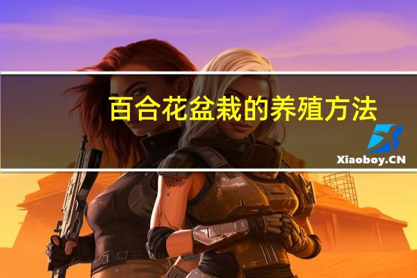 百合花盆栽的养殖方法