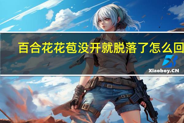 百合花花苞没开就脱落了怎么回事
