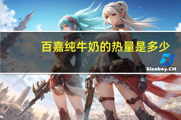 百嘉 纯牛奶的热量是多少