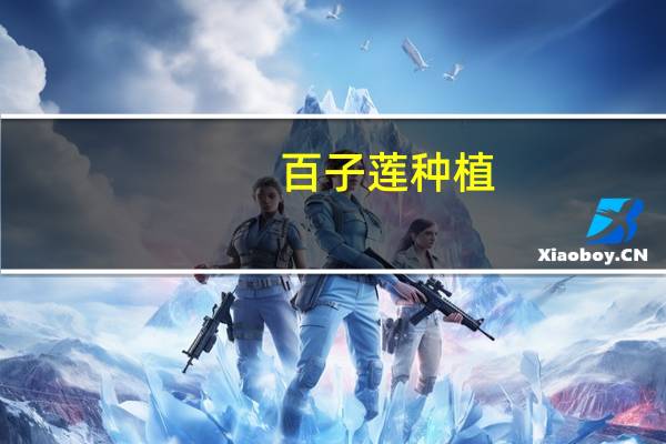 百子莲种植：性喜温暖湿润