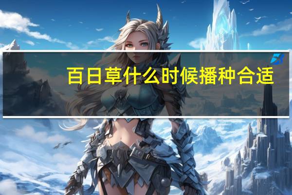 百日草什么时候播种合适