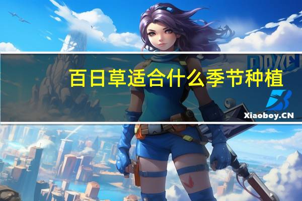 百日草适合什么季节种植