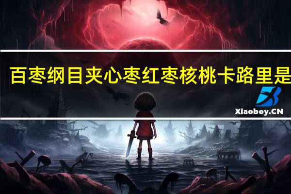 百枣纲目 夹心枣 红枣核桃卡路里是多少