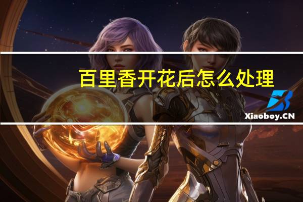 百里香开花后怎么处理