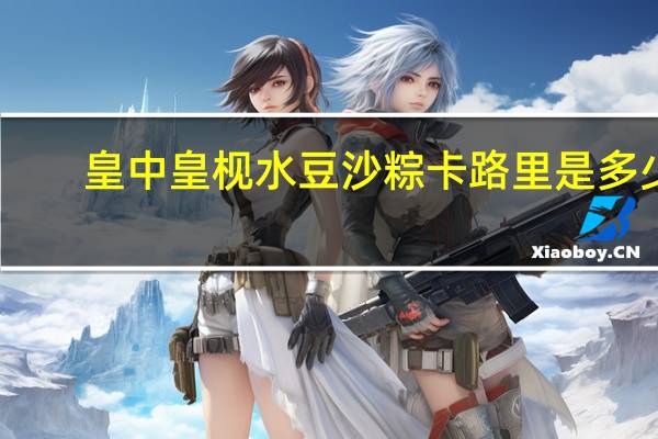 皇中皇 枧水豆沙粽卡路里是多少