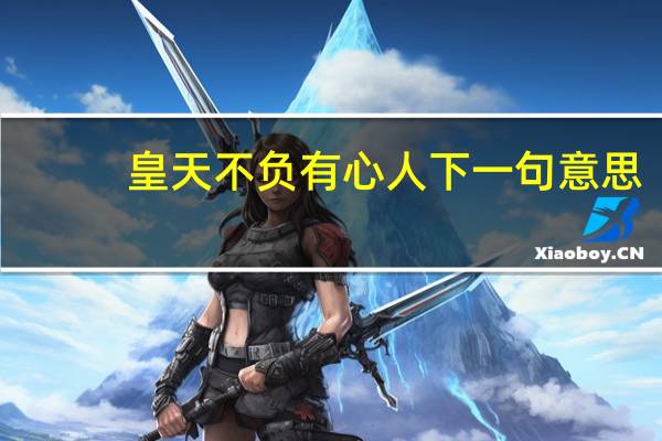 皇天不负有心人下一句意思（皇天不负有心人）