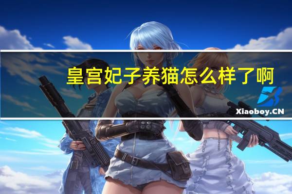 皇宫妃子养猫怎么样了啊