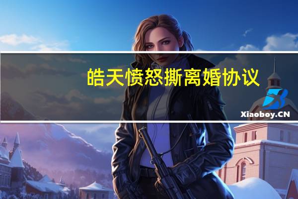皓天愤怒撕离婚协议（皓天）