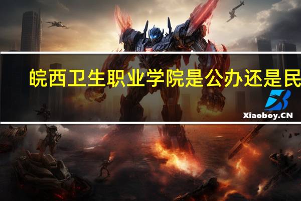 皖西卫生职业学院是公办还是民办
