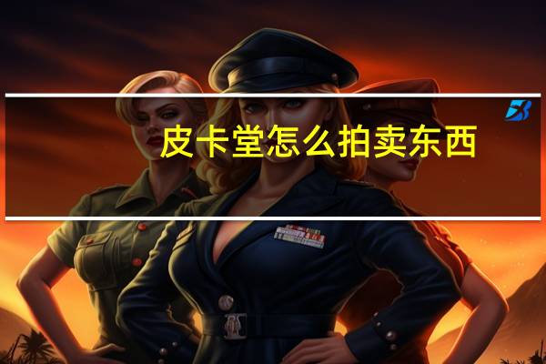 皮卡堂怎么拍卖东西（皮卡堂怎么卖东西）