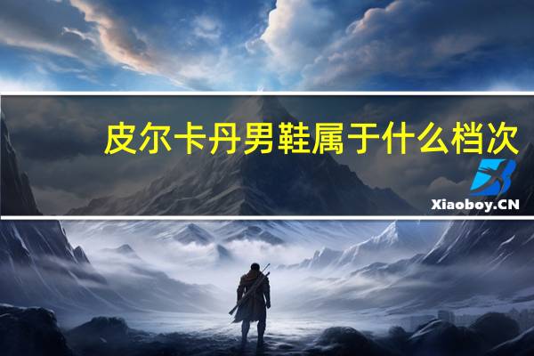 皮尔卡丹男鞋属于什么档次（皮尔卡丹男鞋）