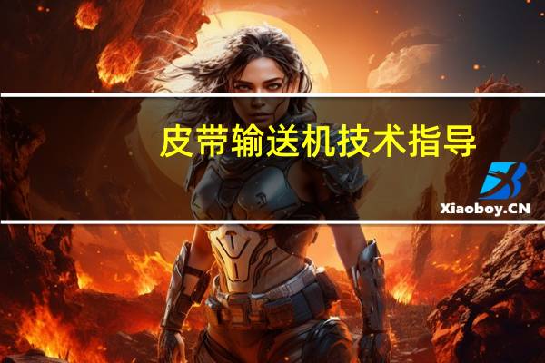 皮带输送机技术指导（皮带输送机技术参数）