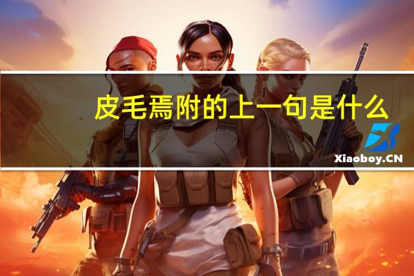 皮毛焉附的上一句是什么