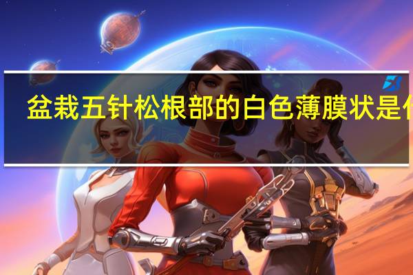 盆栽五针松根部的白色薄膜状是什么