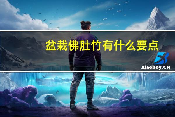 盆栽佛肚竹有什么要点
