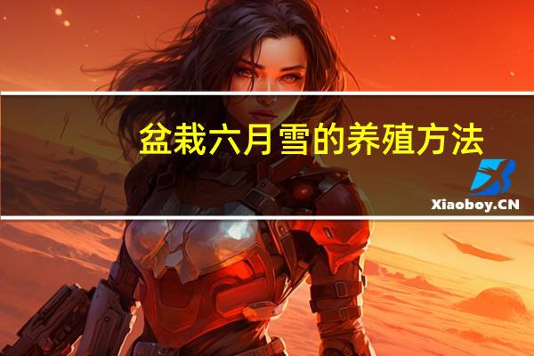 盆栽六月雪的养殖方法