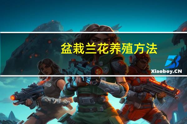 盆栽兰花养殖方法