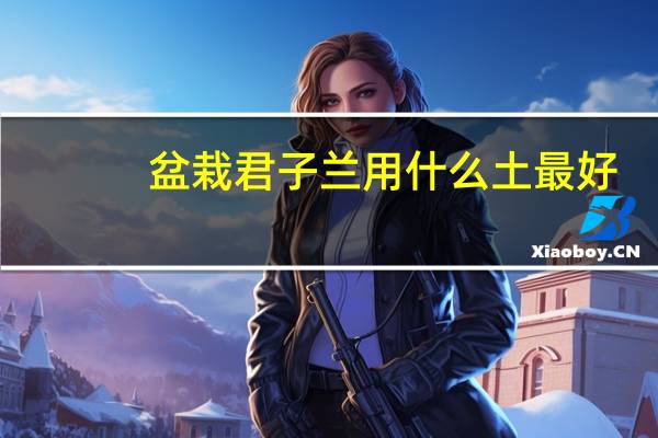盆栽君子兰用什么土最好