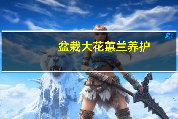 盆栽大花蕙兰养护