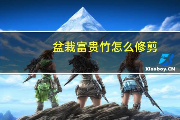 盆栽富贵竹怎么修剪